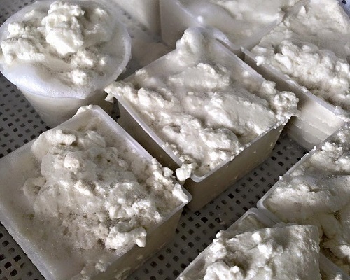 Ricotta - Azienda Agricola ZIPO MILANO